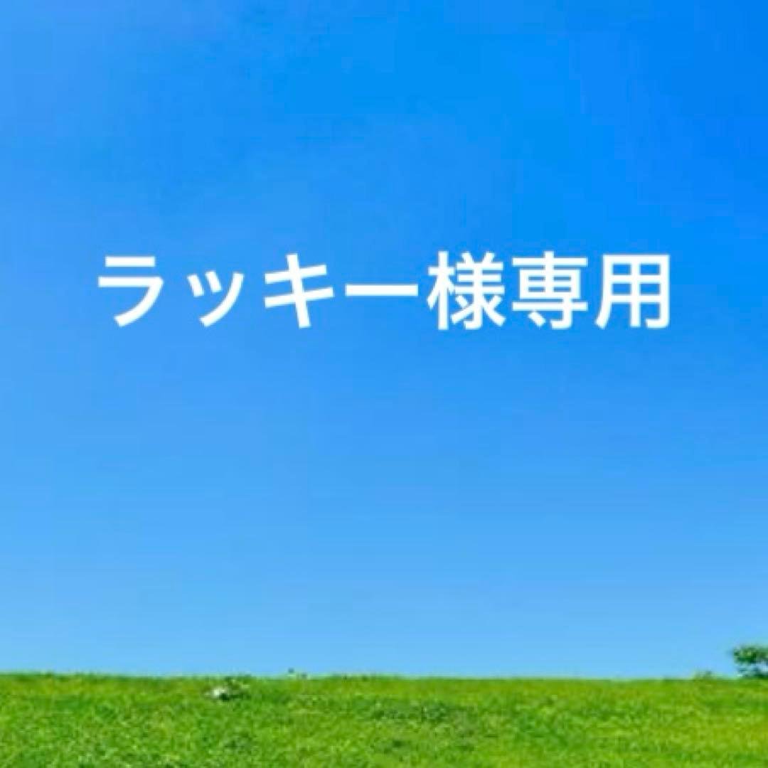 未使用　HIROFU ヒロフ レザーミニ財布　グレーカーキ　ピウメノ