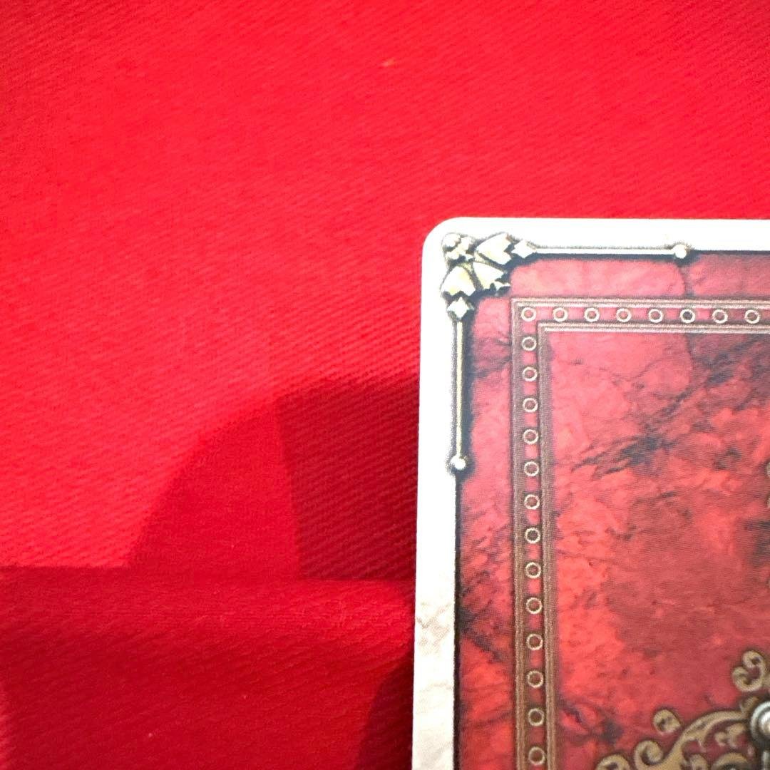 ラウズカード ダブルジョーカー 仮面ライダー剣 キングフォーム トレカ CSM