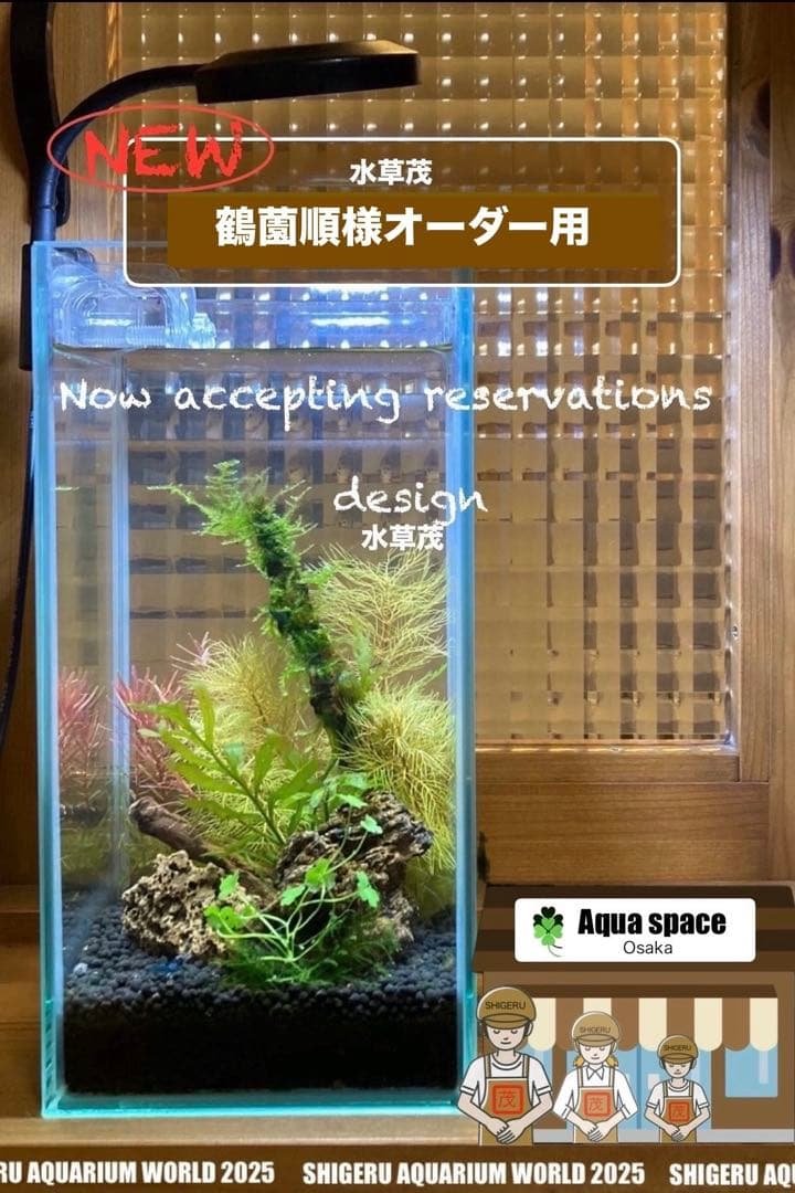 水草茂「鶴薗順様オーダー用」
