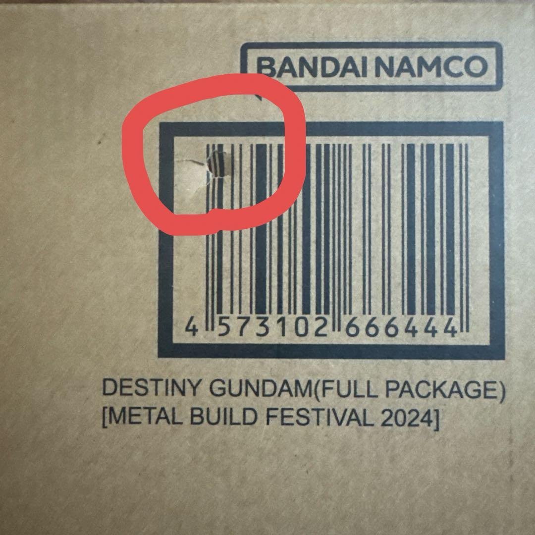 l build デスティニーガンダム フルパッケージ 2024