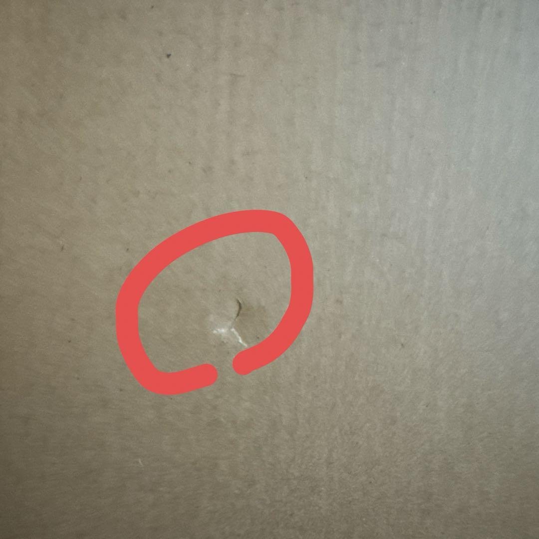 l build デスティニーガンダム フルパッケージ 2024