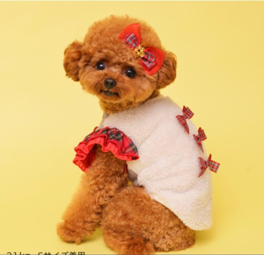 ゴットピバ新作サイズS