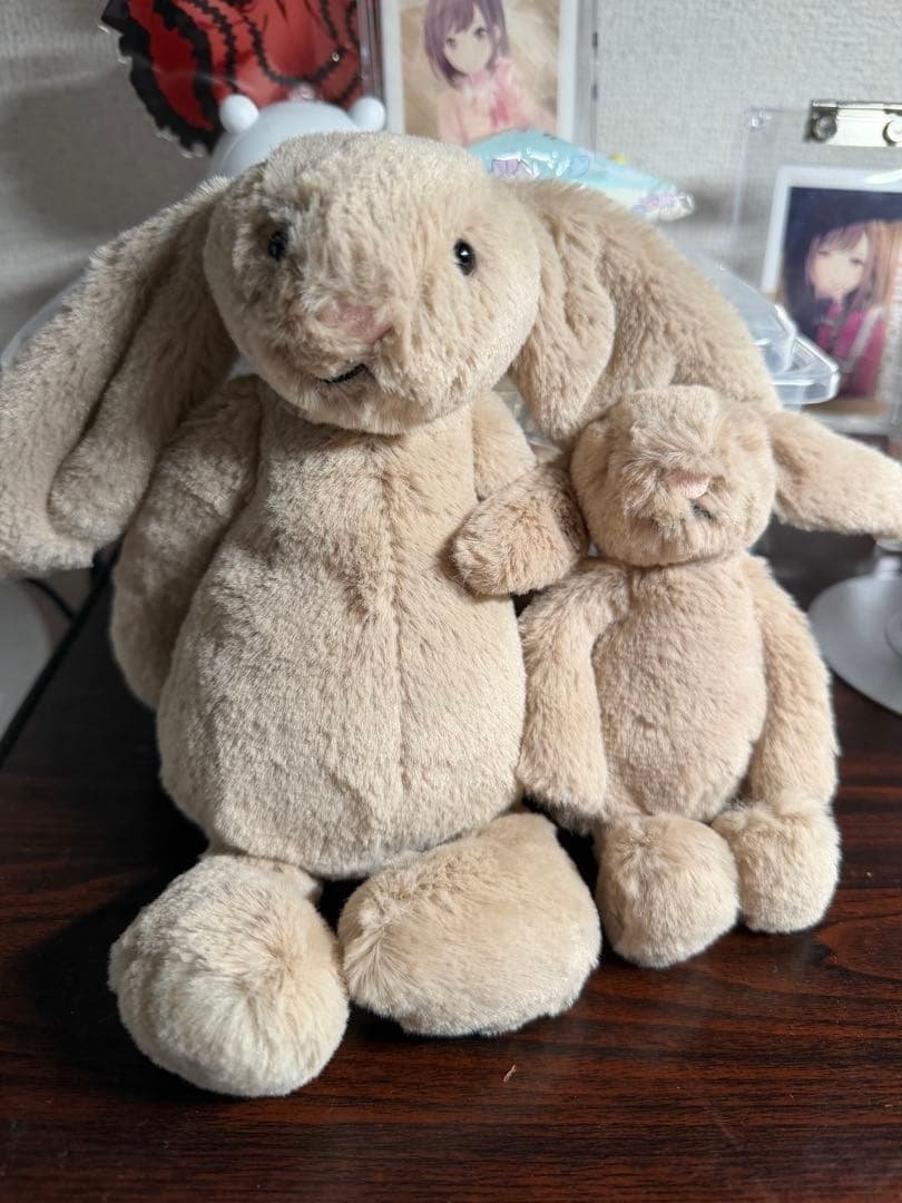  ぬいぐるみ ウサギ 大小セット