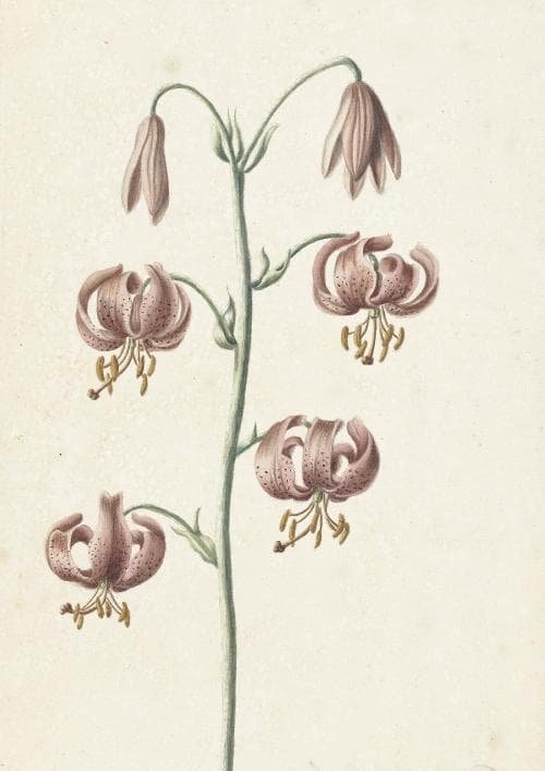 m10★ポスター8枚