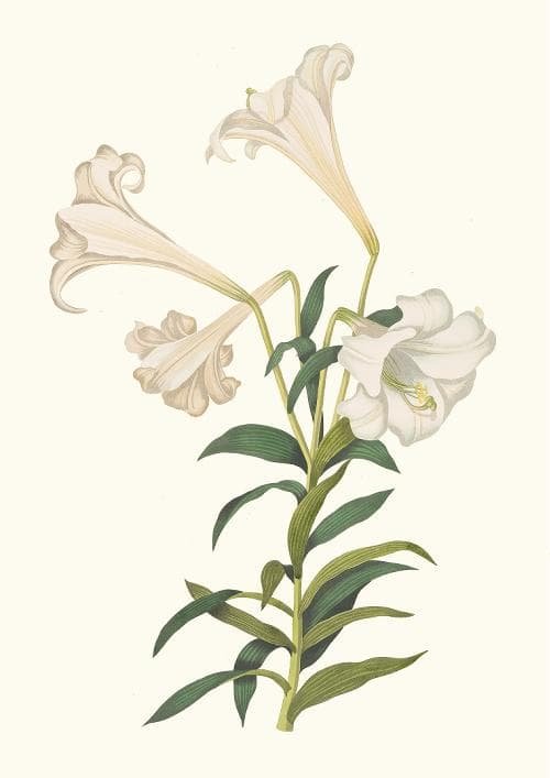 m10★ポスター8枚