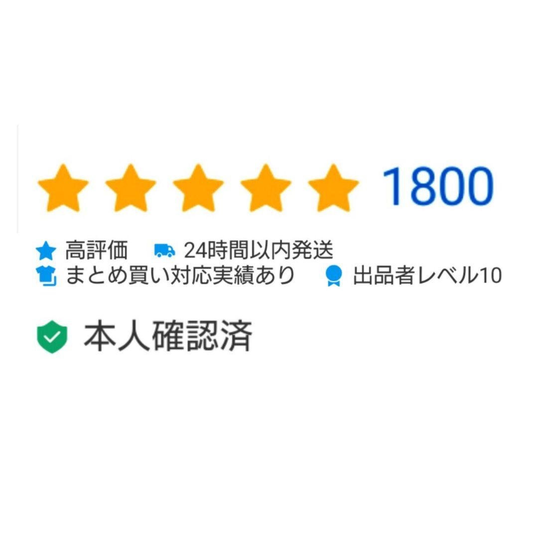 【激レア・新品・匿名配送】北方領土 択捉島 国後島 色丹島 交通カード