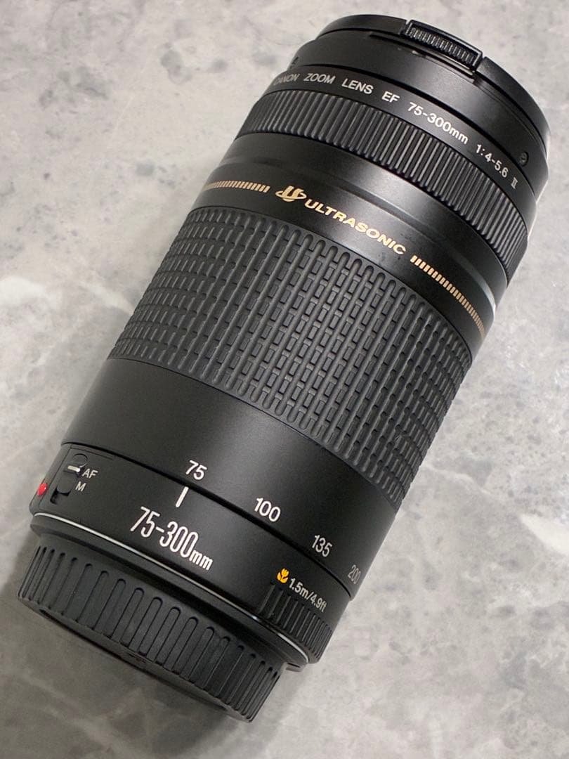 ⭐️美品⭐️Canon EF 75-300mm F/4-5.6 II USM
